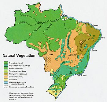 Brazil veg 1977