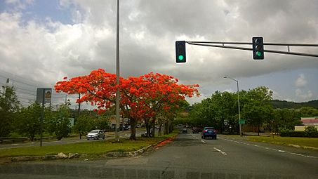 Carretera PR-8, Carolina, Puerto Rico