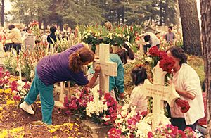 CemetarioAlmoloyaRio1995