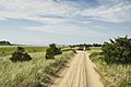 Chappaquiddick Island Trail