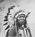 Chief Flying Hawk