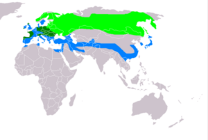 Circus cyaneus distribution map.png