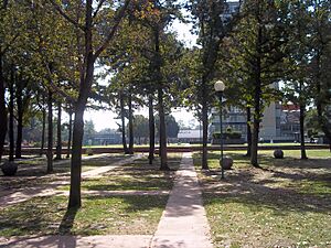 Ciudad Universitaria, UNAM