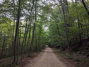 Croton Gorge park trail