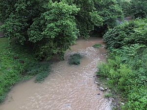 Davis Creek WV.jpg