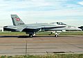 Fa-18c.hornet.j5003.swissaf