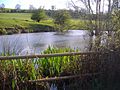 Headwater of the River Nene near Arbury Hill 17th April 2008 (1)