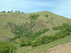 Hillside in Sunol Regional Wilderness.jpg