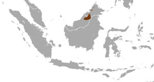 Hose's Palm Civet area.png