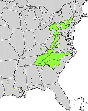 Ilex montana range map.jpg