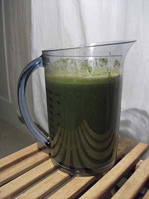 Kale, Wheat Grass, Cauliflower, Broccoli, Carrot, Apple, Lemon Juice