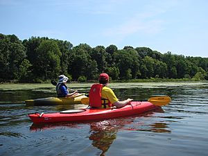 Kayakers at Occoquan