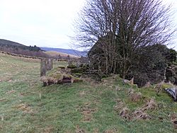 Kirkbride, Enterkinfoot, Nithsdale - looking south east