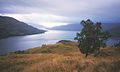 Loch Katrine