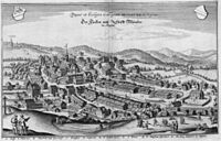 Münster (Merian)