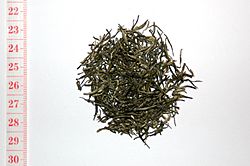 Maojian (high grade, spring 2007).jpg