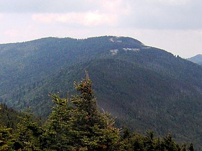 Mount Mitchell 640x480