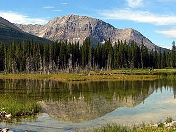 Mount Shark of Kananaskis Country.jpg