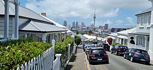 NZ AK Renall Street (2)