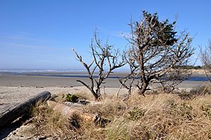 Ona Beach State Park