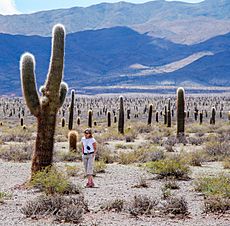 Parque Nacional Los cardones