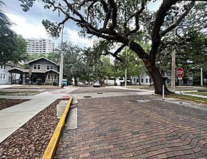 Pine Street, Orlando (May 2023)