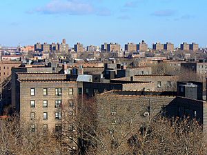 Queensbridge Houses.jpg