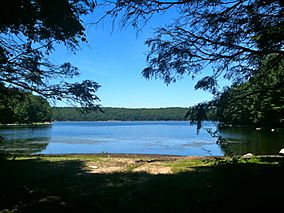 Saugatuck Reservoir from the Saugatuck Trail in Centennial Watershed State Forest.jpg