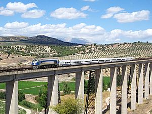 Talgo train on viaduct.jpg