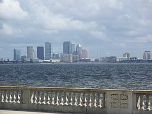 Tampa Bayshore Blvd skyline02