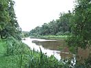 The Boyne Upstream of Slane Castle - geograph.org.uk - 499467