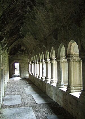 The cloisters, Quin Abbey - geograph.org.uk - 1517985