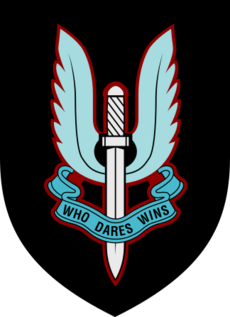UK SAS (badge)