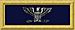 Union army col rank insignia.jpg