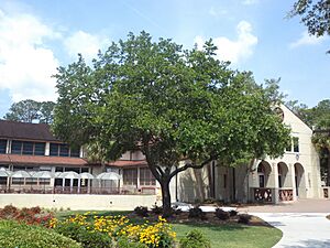 VSU Quad Tree 15