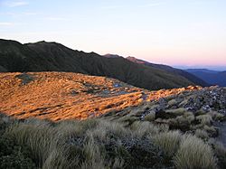 View-from-mt-holdsworth-tararua-range-new-zealand