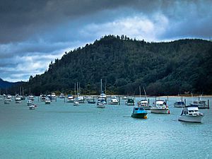 Whangamata Harbour grey morning