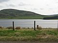 WhiteadderReservoir01