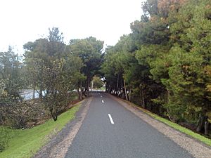 Willunga-marino railtrail in reynella