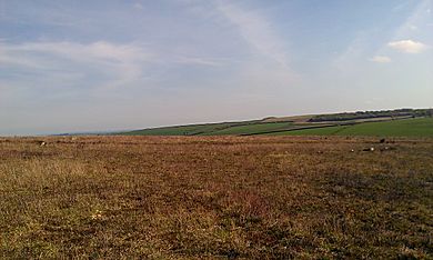 Withypool Stone Circle, May 2014