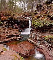 A narrow falls resembling a horsetail is in a chute carved in layers of rock, which then flows into a large pool at the base. The surrounding rock has green bushes and a brown picket fence is visible above the falls.