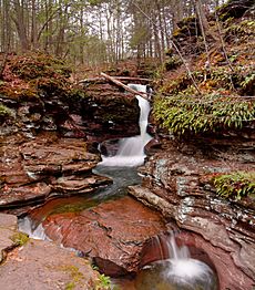 Adams Falls Chasm