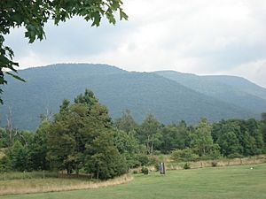 BackAlleghenyMountain