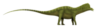 Bajadasaurus SW.png