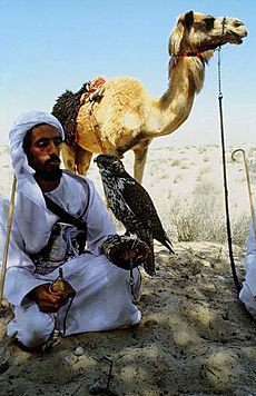 Bedouin