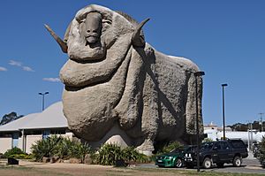 Big Merino Goulburn 2011