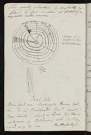 C Lyell notebook page 1