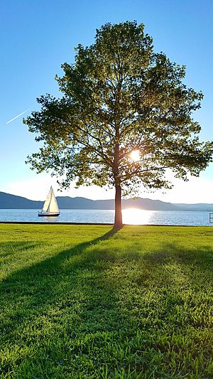 Croton-Point Park