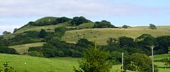 Eggardon Hill from southwest