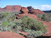 Finke Gorge NP